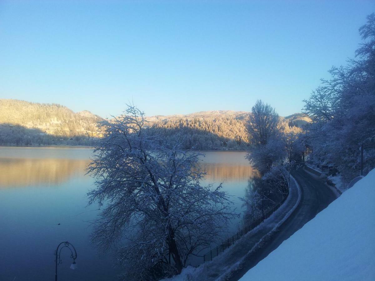 Bed & Breakfast Pletna A Double Lake-view *